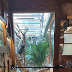 Photo n°2 de l'avis de Davide.e fait le 06/02/2022 à 17:50 sur le  Ristorante La Querida à Rome