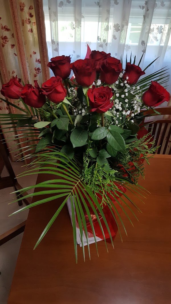 Floristerías El Vivero