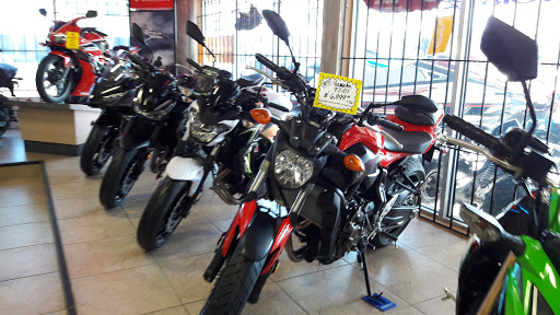 Motorcycle Dealer «McAllen Motor Sports», reviews and photos, 3608 N McColl Rd, McAllen, TX 78501, USA