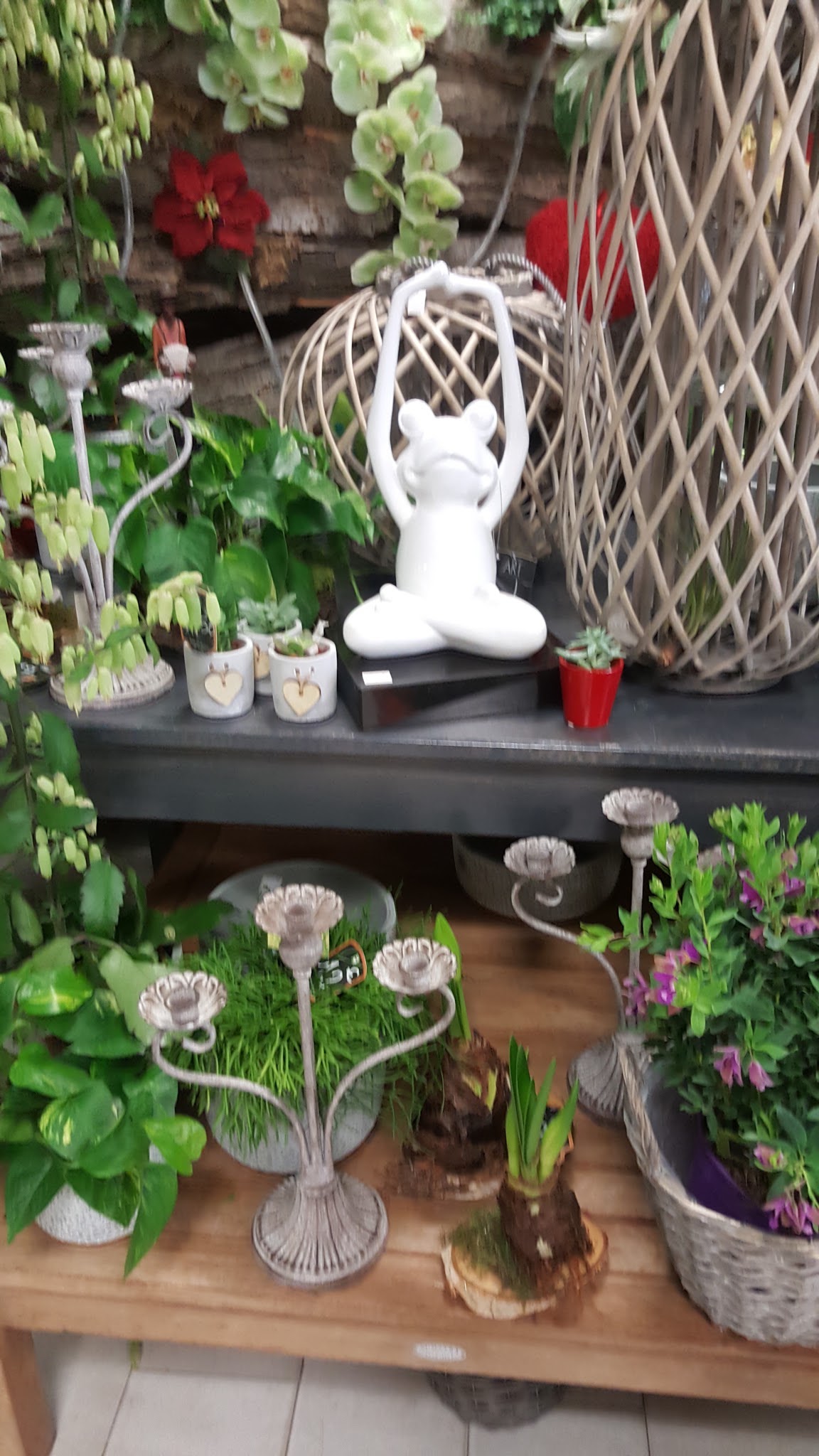 Photo n° 3 de l'avis de Elmino. fait le 14/02/2018 à 15:00
