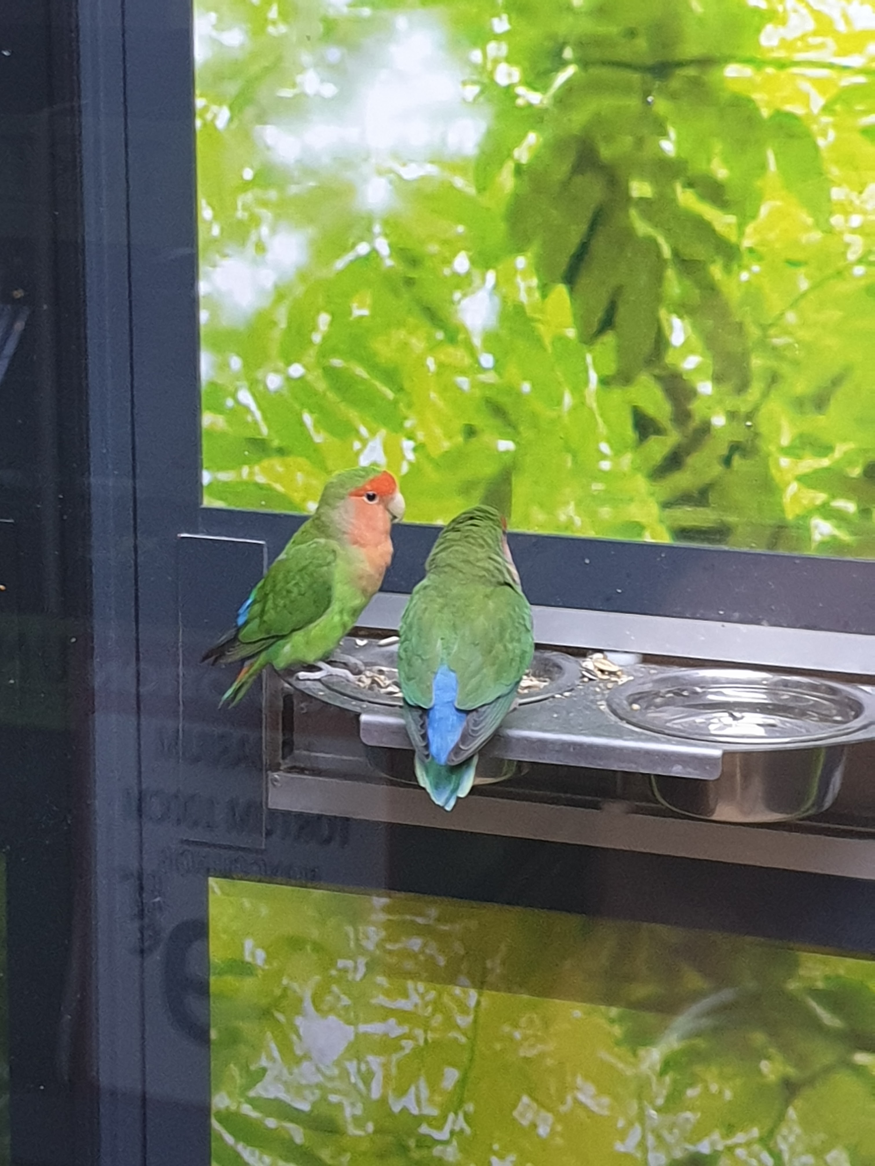 Photo n° 2 de l'avis de E. fait le 03/06/2019 à 16:42