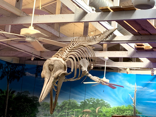 Science Museum «Marine Science Center», reviews and photos, 100 Lighthouse Dr, Ponce Inlet, FL 32127, USA