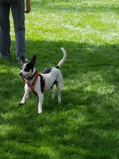 Pet Store «Katie’s PET DEPOT®», reviews and photos, 1941 Foothill Blvd, La Verne, CA 91750, USA