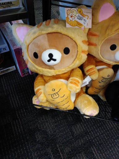 Book Store «Books-A-Million», reviews and photos, 1101 N Berkeley Blvd, Goldsboro, NC 27534, USA