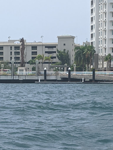 San Juan Bay Marina
