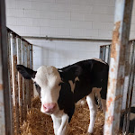 Photo n°2 de l'avis de DAVIDE.A fait le 28/07/2023 à 21:06 sur le  Agritur al Ranch Maso Coflari à Ruffrè-Mendola