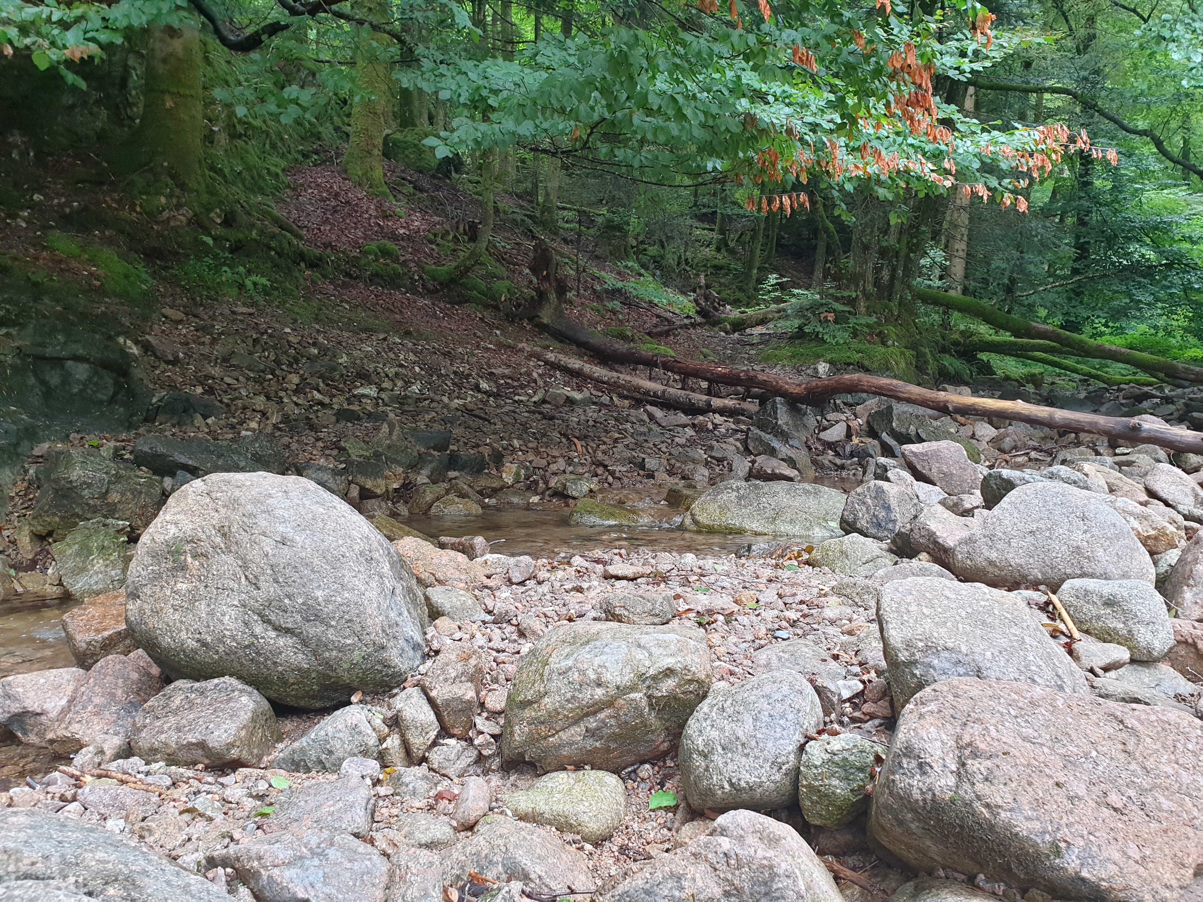 Photo n° 7 de l'avis de Christophe.r fait le 28/07/2019 à 18:55