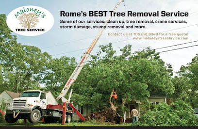 Maloney's Tree Service