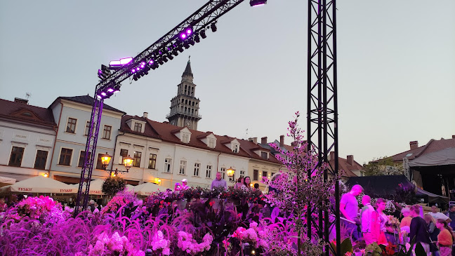 Opinie o Galeria Antyków "Niebieski Rower" w Bielsko-Biała - Sklep rowerowy