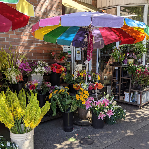 Florist «The Flower Lady», reviews and photos, 3230 Eastlake Ave C, Seattle, WA 98102, USA