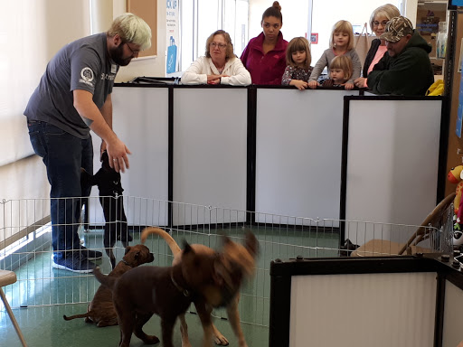 Pet Supply Store «Petco Animal Supplies», reviews and photos, 2823 County Home Rd, Goshen, IN 46526, USA