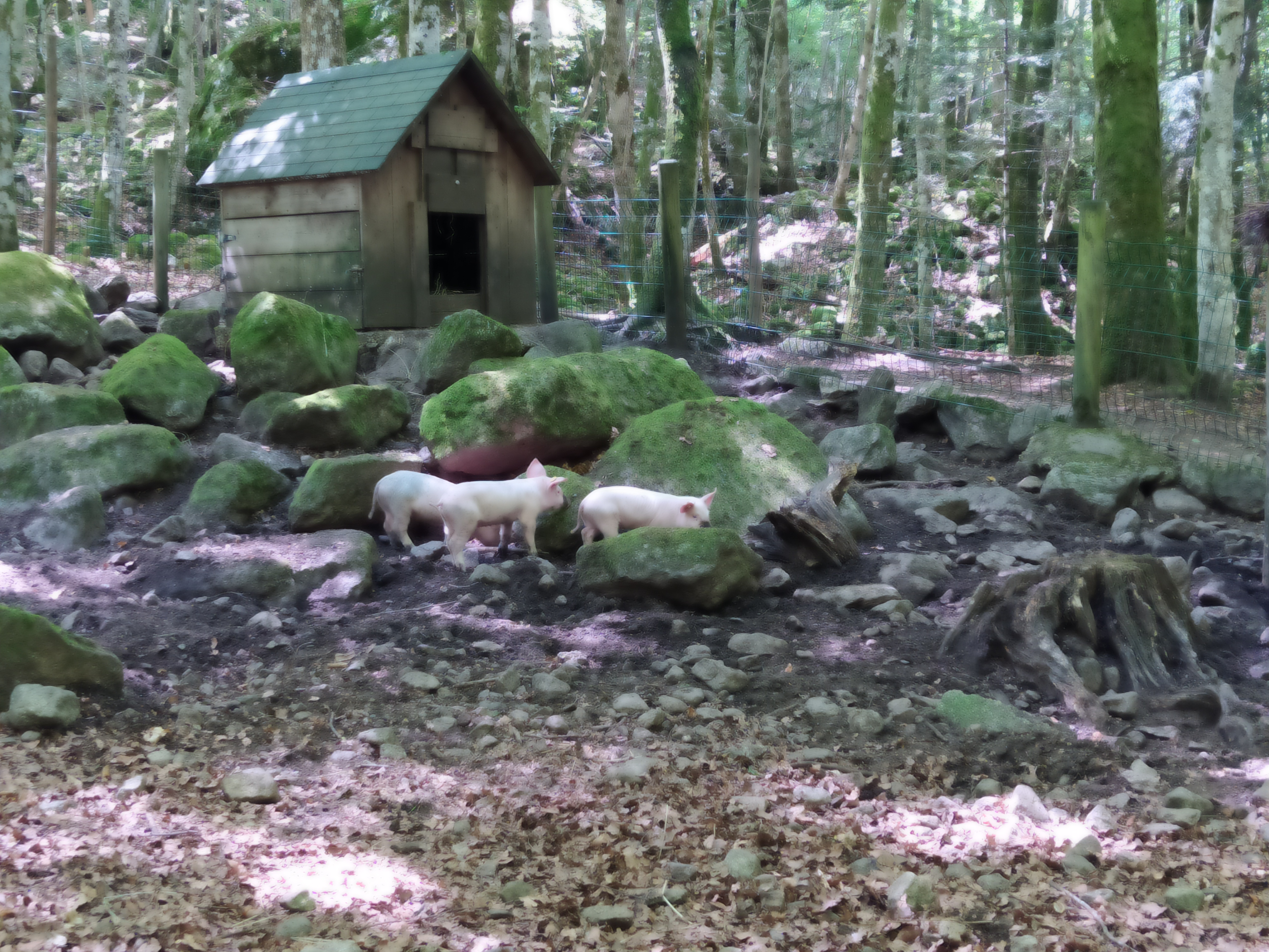 Photo n° 1 de l'avis de Sanchez.u fait le 04/08/2020 à 13:25