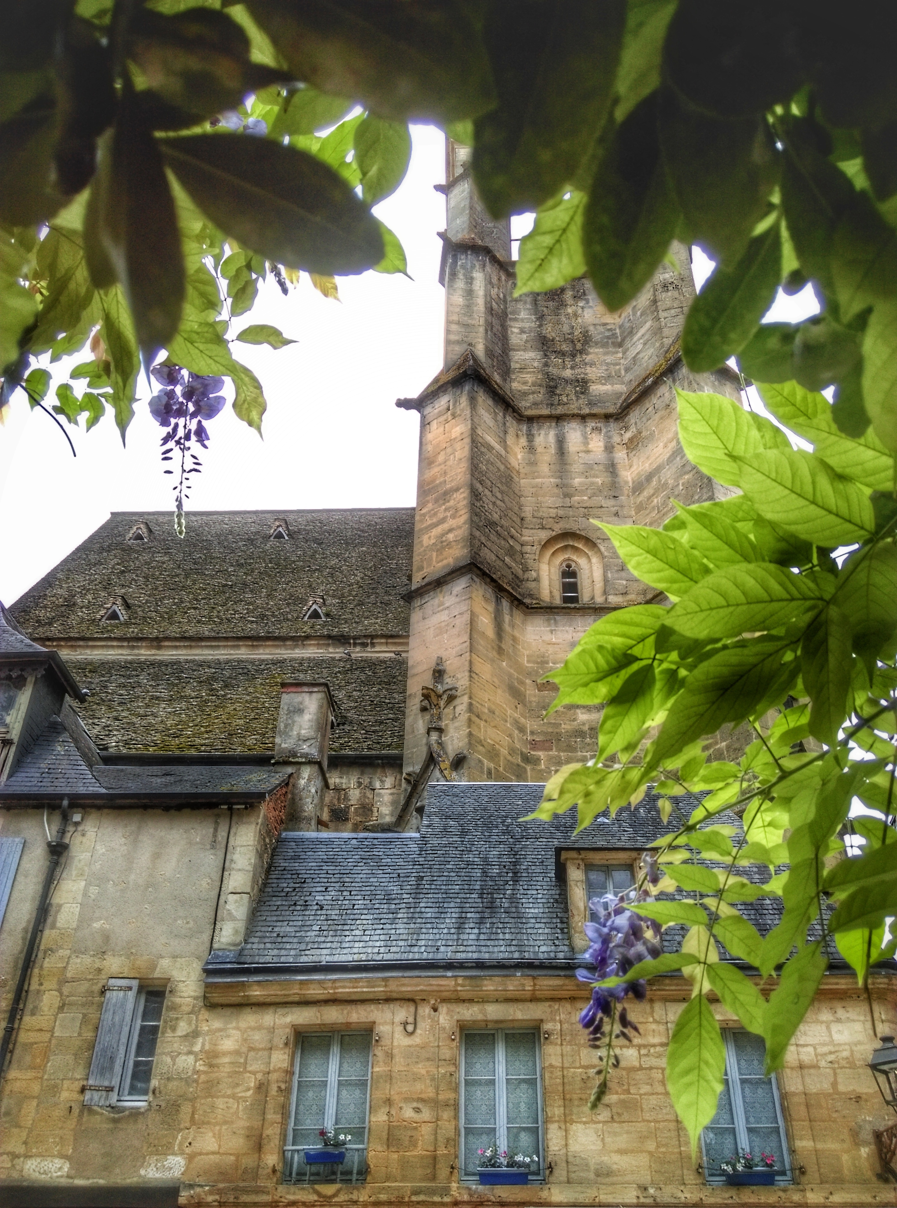 Photo n° 1 de l'avis de Paul. fait le 16/07/2017 à 15:45
