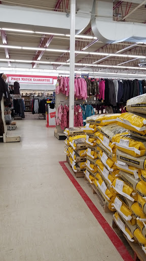 Home Improvement Store «Tractor Supply Co.», reviews and photos, 8610 Shaver Rd, Portage, MI 49024, USA