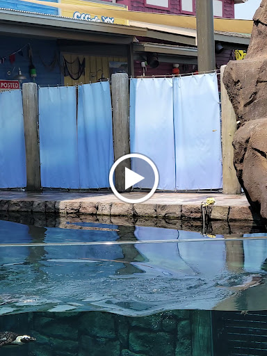 Water Park «Zoombezi Bay», reviews and photos, 10101 Riverside Dr, Powell, OH 43065, USA