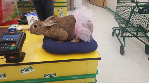 Pet Supply Store «Pet Supplies Plus», reviews and photos, 14839 Detroit Ave, Lakewood, OH 44107, USA