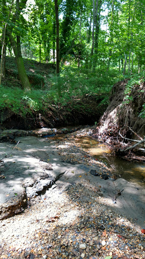 Historical Place «Hadrosaurus Foulki Leidy Site», reviews and photos, Maple Ave, Haddonfield, NJ 08033, USA