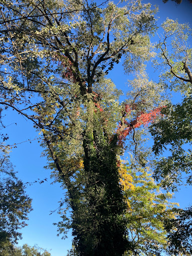 Historical Place «Morris-Jumel Mansion», reviews and photos, 65 Jumel Terrace, New York, NY 10032, USA