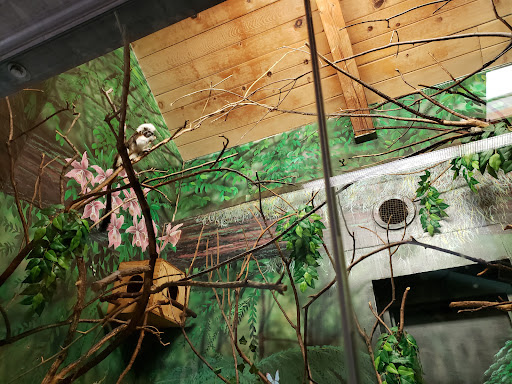 Zoo «Lake Superior Zoo», reviews and photos, 7210 Fremont St, Duluth, MN 55807, USA