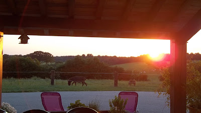 gite du colombier à Le Fied