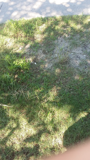 Water Park «Splash Kingdom Waterpark», reviews and photos, 18814 I-20, Canton, TX 75103, USA