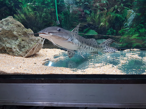 Aquarium Sangenstedt unter Winsen, 