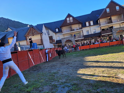 SOCAIM IMMOBILIER à Saint-Lary-Soulan