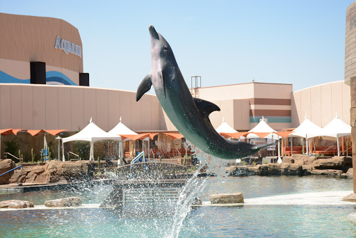 Park «Lookout Mountain Preserve», reviews and photos, 15800 N 16th St, Phoenix, AZ 85022, USA