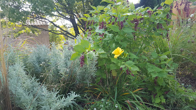 Grignot'fleurs à Pertuis