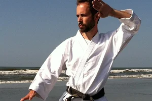 Master Pattillo Martial Arts image