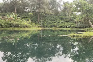 Danau Langon image
