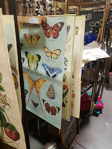 Thrift Store «Second Chances Thrift Store», reviews and photos, 49 Glendale Ave, Asheville, NC 28803, USA