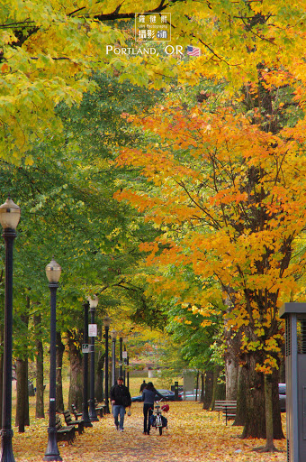 Park «South Park Blocks», reviews and photos, SW Park Ave, Portland, OR 97204, USA