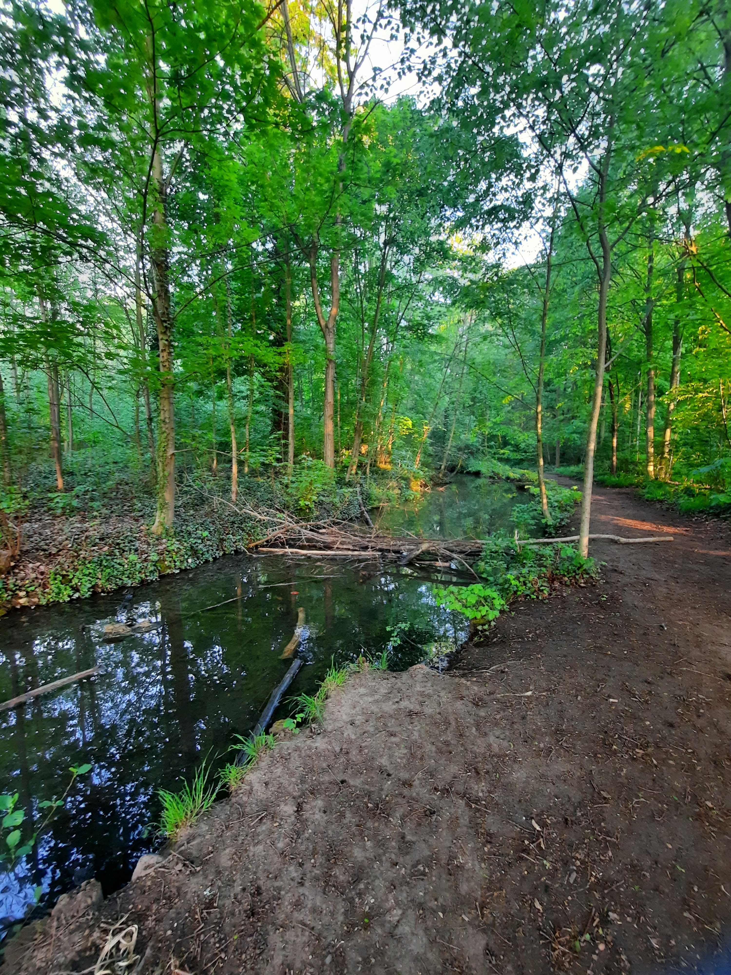 Photo n° 2 de l'avis de samy.t fait le 20/04/2021 à 19:47