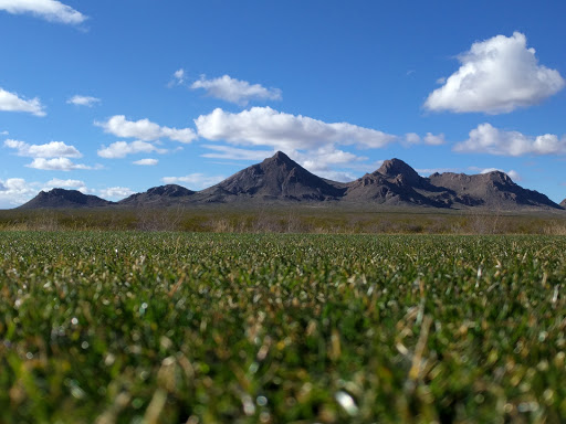 Golf Club «Red Hawk Golf Club», reviews and photos, 7502 Red Hawk Golf Road, Las Cruces, NM 88012, USA