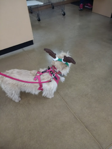 Pet Supply Store «Petco Animal Supplies», reviews and photos, 16710 Royalton Rd, Strongsville, OH 44136, USA