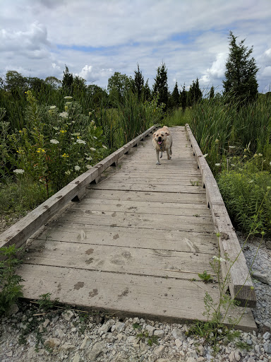 Dog Park «Beck Lake Off-Leash Dog Area», reviews and photos, 9700 Gloria Ct, Glenview, IL 60025, USA