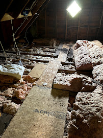 JacopilleBornheimer Wildlife - Photo 4 - Car repair in Buffalo, NY, Buffalo