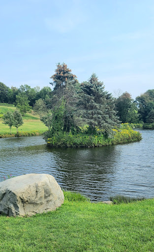 Winery «Millbrook Vineyards & Winery», reviews and photos, 26 Wing Rd, Millbrook, NY 12545, USA