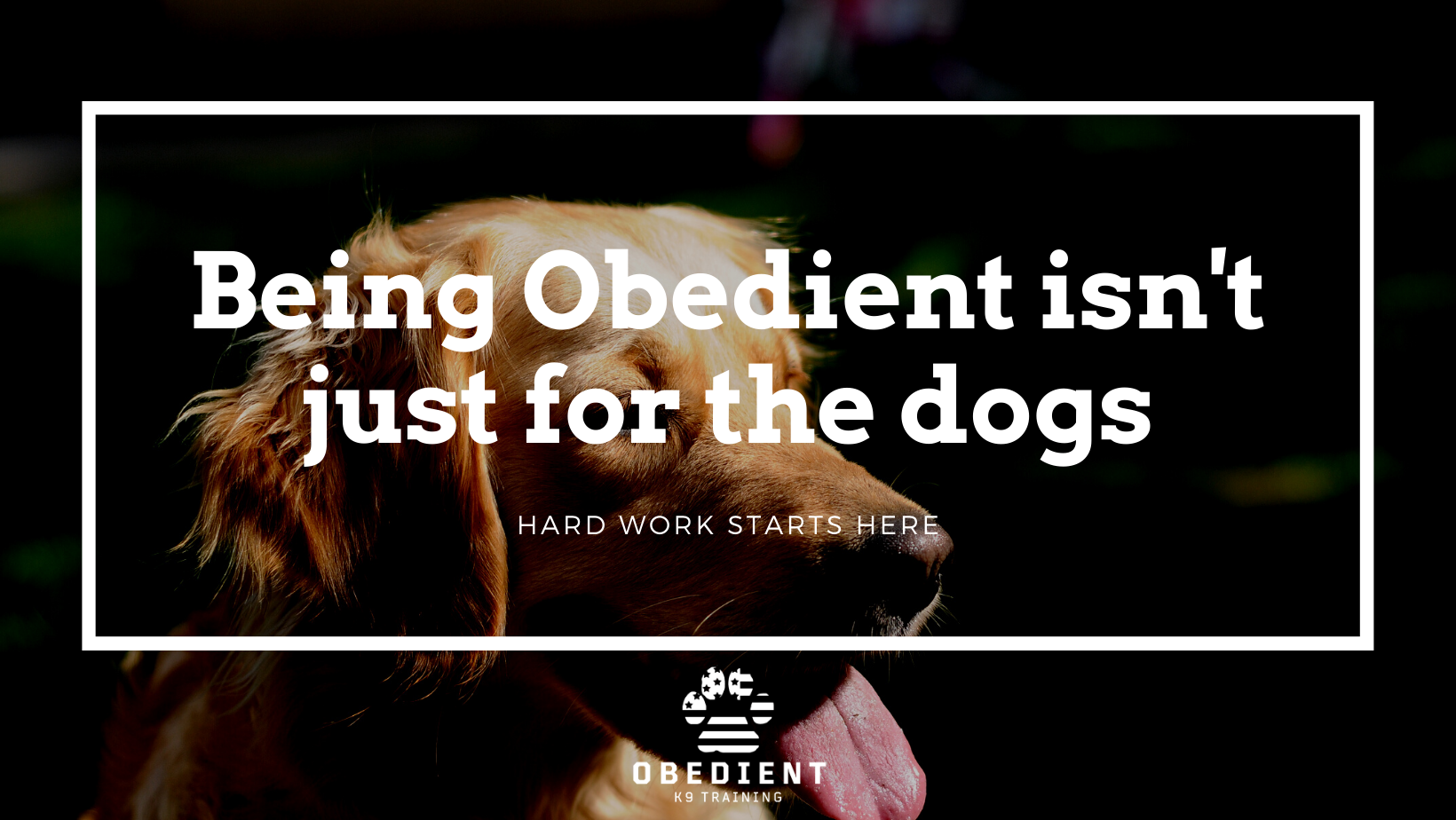 Obedient K9 Training