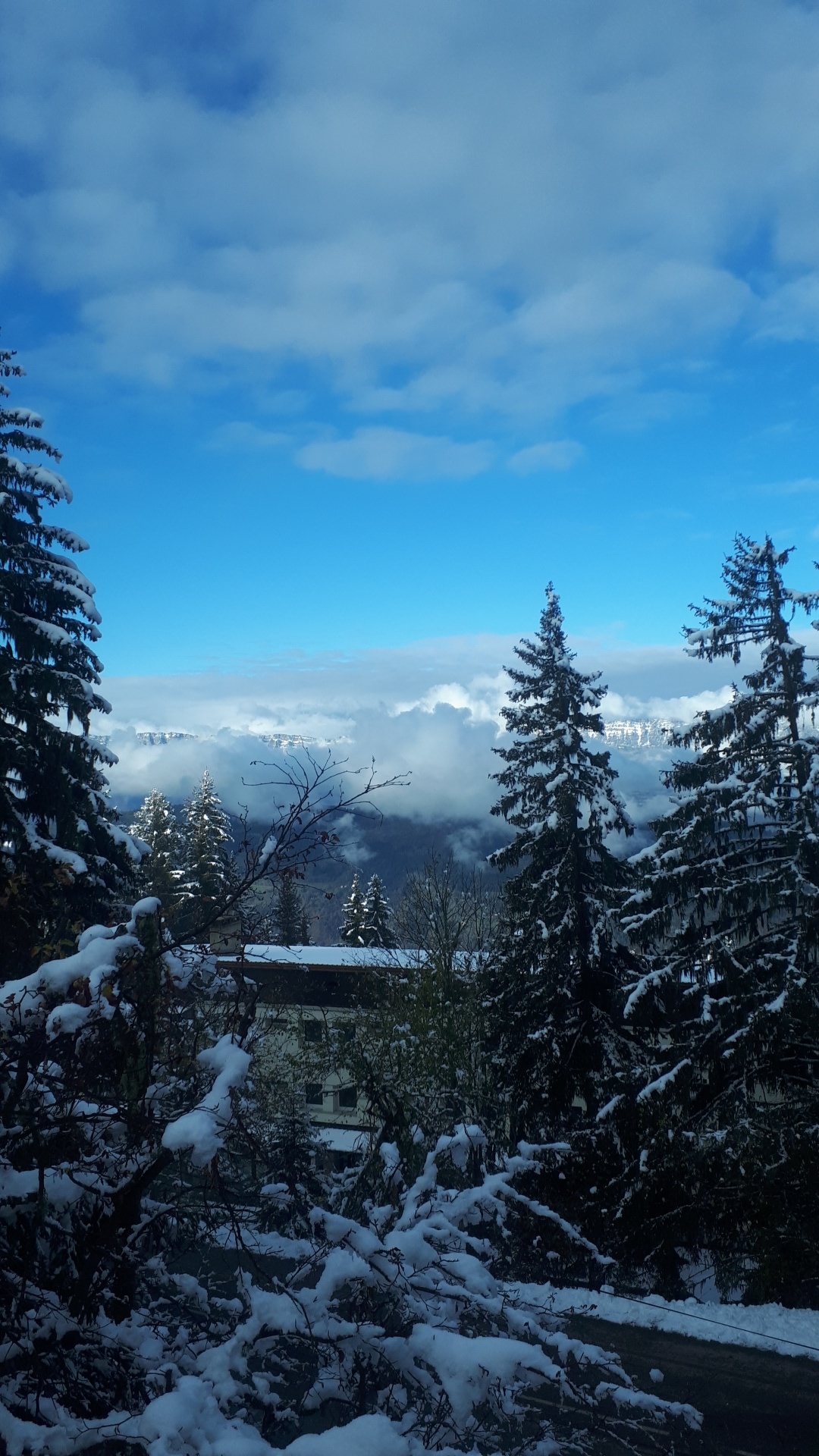 Photo n° 1 de l'avis de cristel.� fait le 13/11/2019 à 10:07