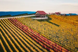 Vina Mramor - Vinotoč Gruska, Family wine estate, winery, wine shop image