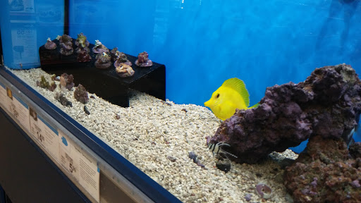 Pet Supply Store «Petco Animal Supplies», reviews and photos, 430 N Euclid St, Anaheim, CA 92801, USA