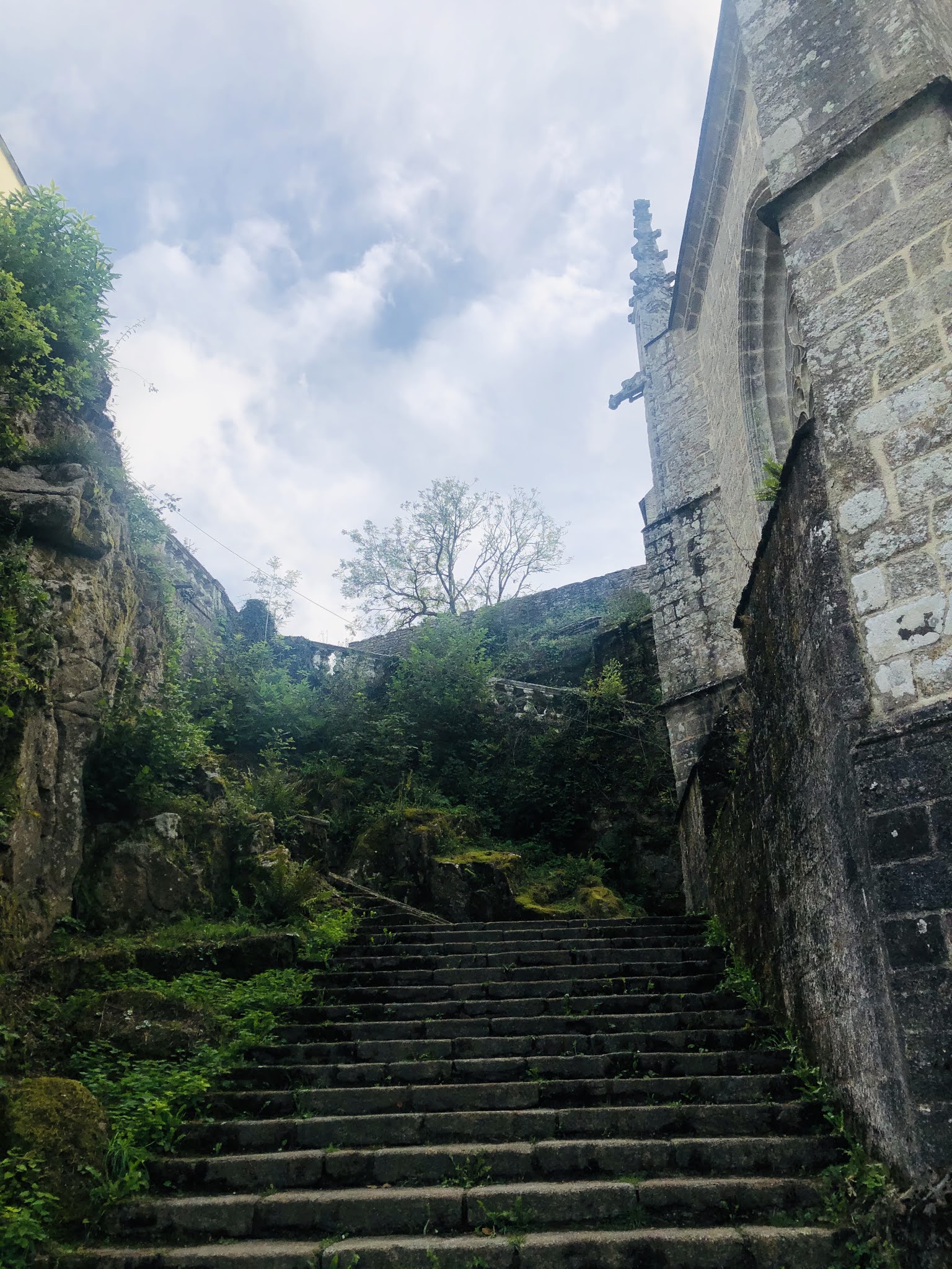 Photo n° 14 de l'avis de Kévin. fait le 23/08/2020 à 13:31