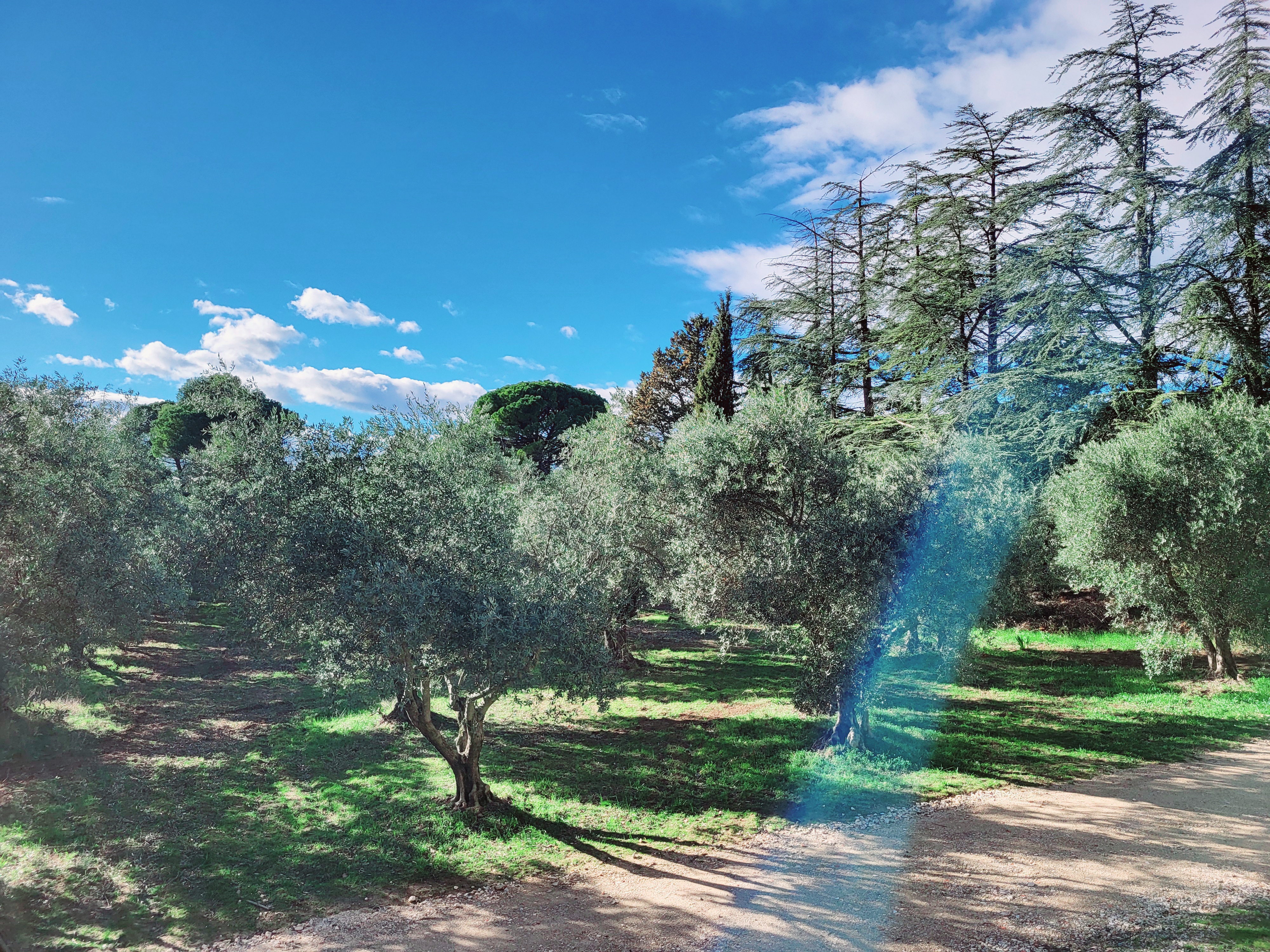 Photo n° 10 de l'avis de Nic.a fait le 11/02/2024 à 15:14