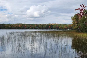 Lake Emily Park image