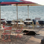 Photo n°1 de l'avis de Thorsten.c fait le 23/08/2022 à 05:32 sur le  Copelia à Padenghe sul Garda