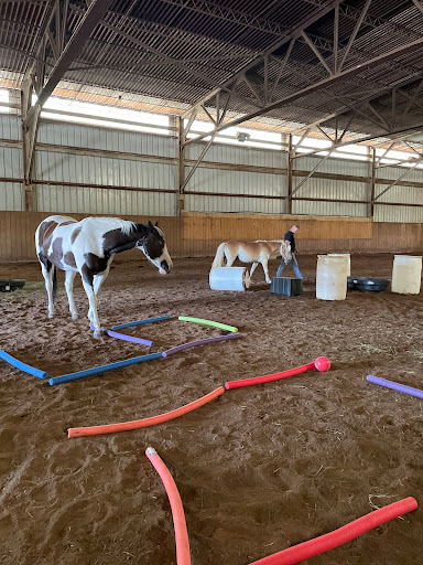 Little Blessings Veteran and Community Outreach