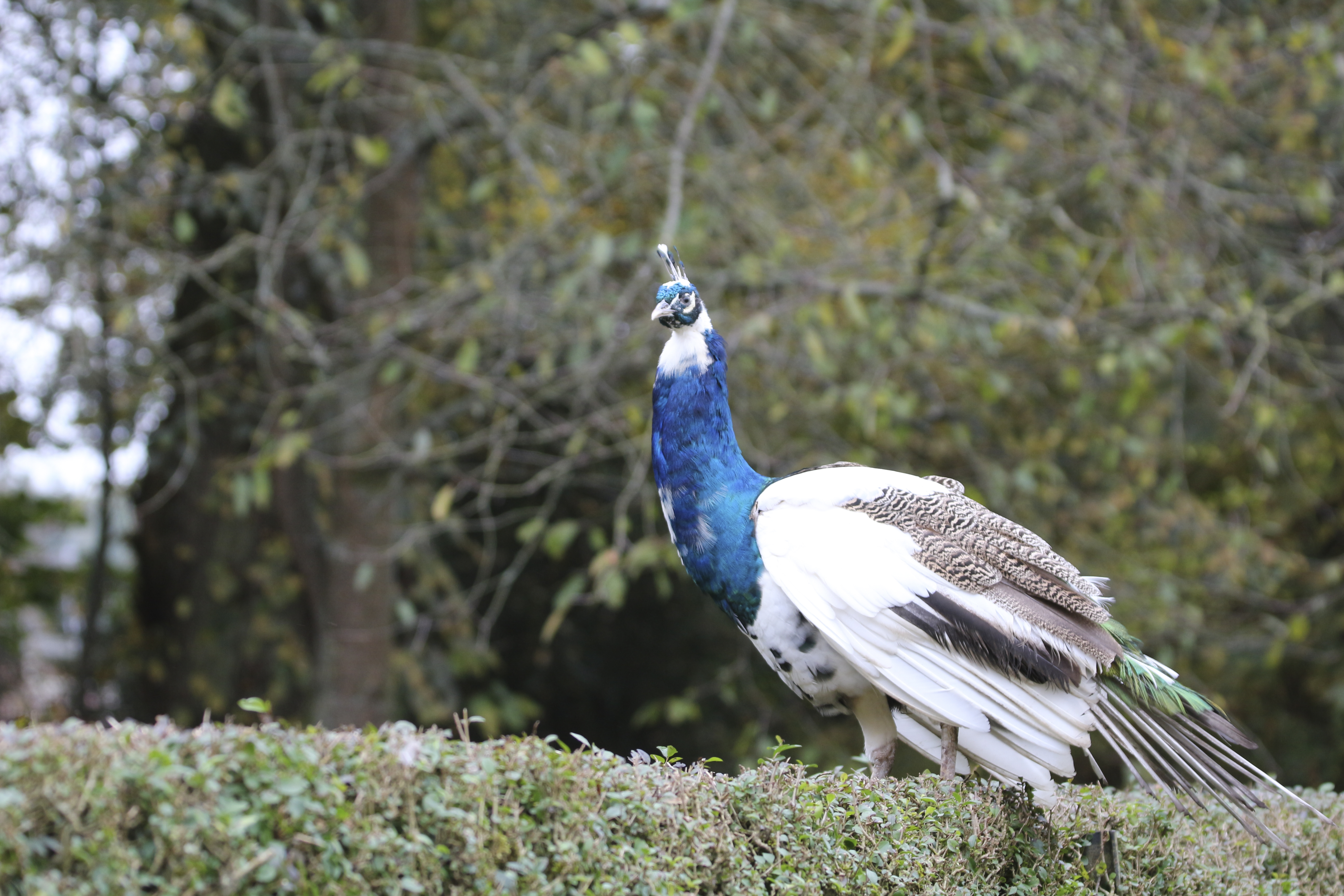 Photo n° 33 de l'avis de Laurent. fait le 05/08/2022 à 12:06