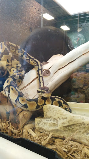 Pet Supply Store «PetSmart», reviews and photos, 6100 Arlington Blvd, Falls Church, VA 22044, USA